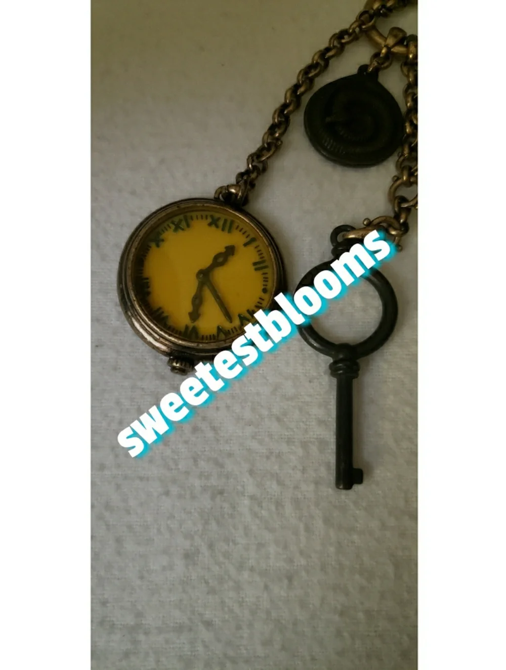 ASO Victoria Sutherland Twilight Lucky Brand Charms RARE! - Picture 3 of 11